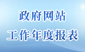 政府網(wǎng)站工作年度報(bào)表